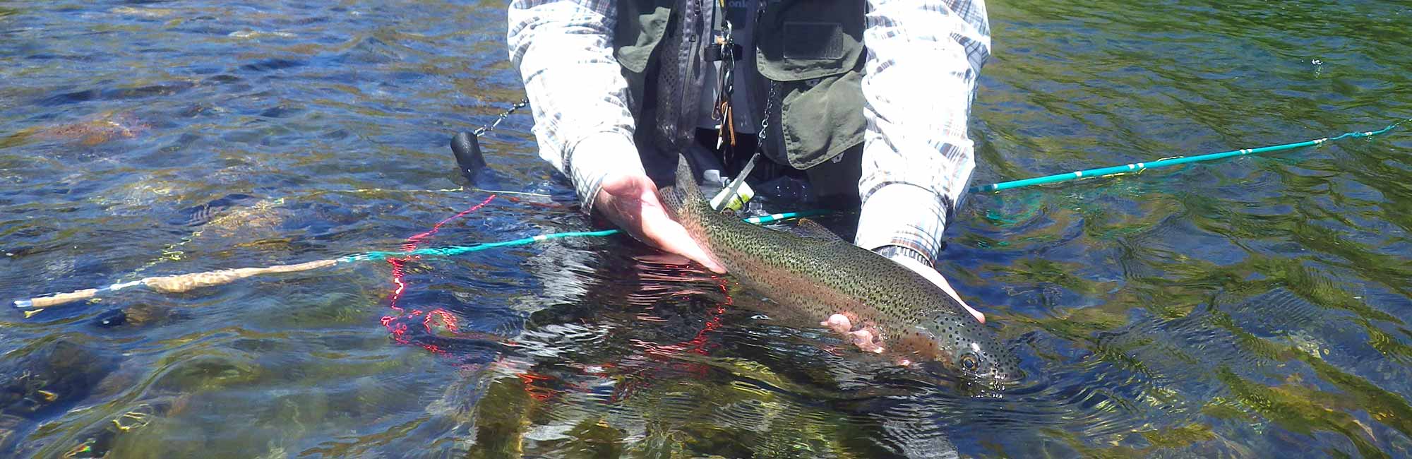 Pescando con Echo