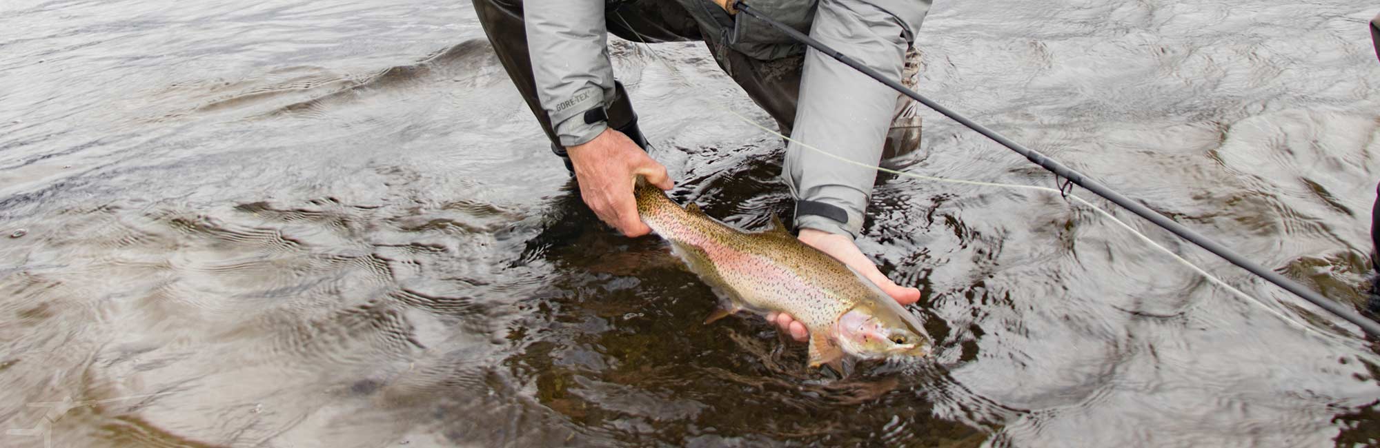 Pescando con Echo